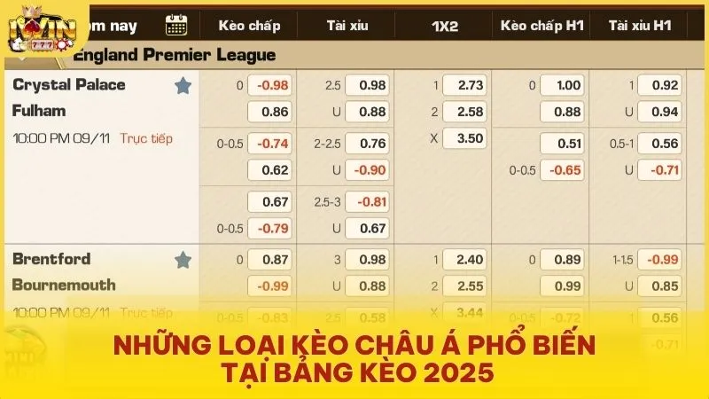Những loại kèo Châu Á phổ biến tại bảng kèo 2025